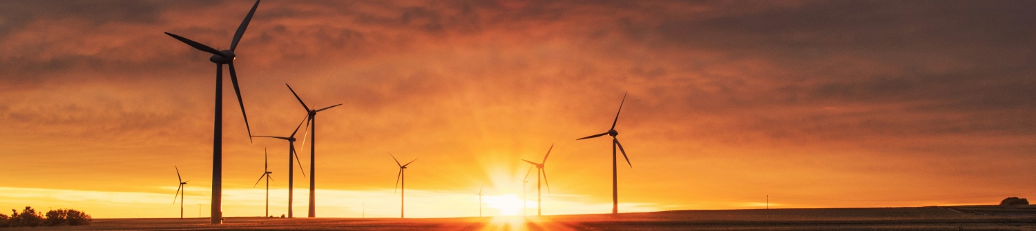 La transición a una economía baja en carbono, uno de los mayores desafíos de este siglo