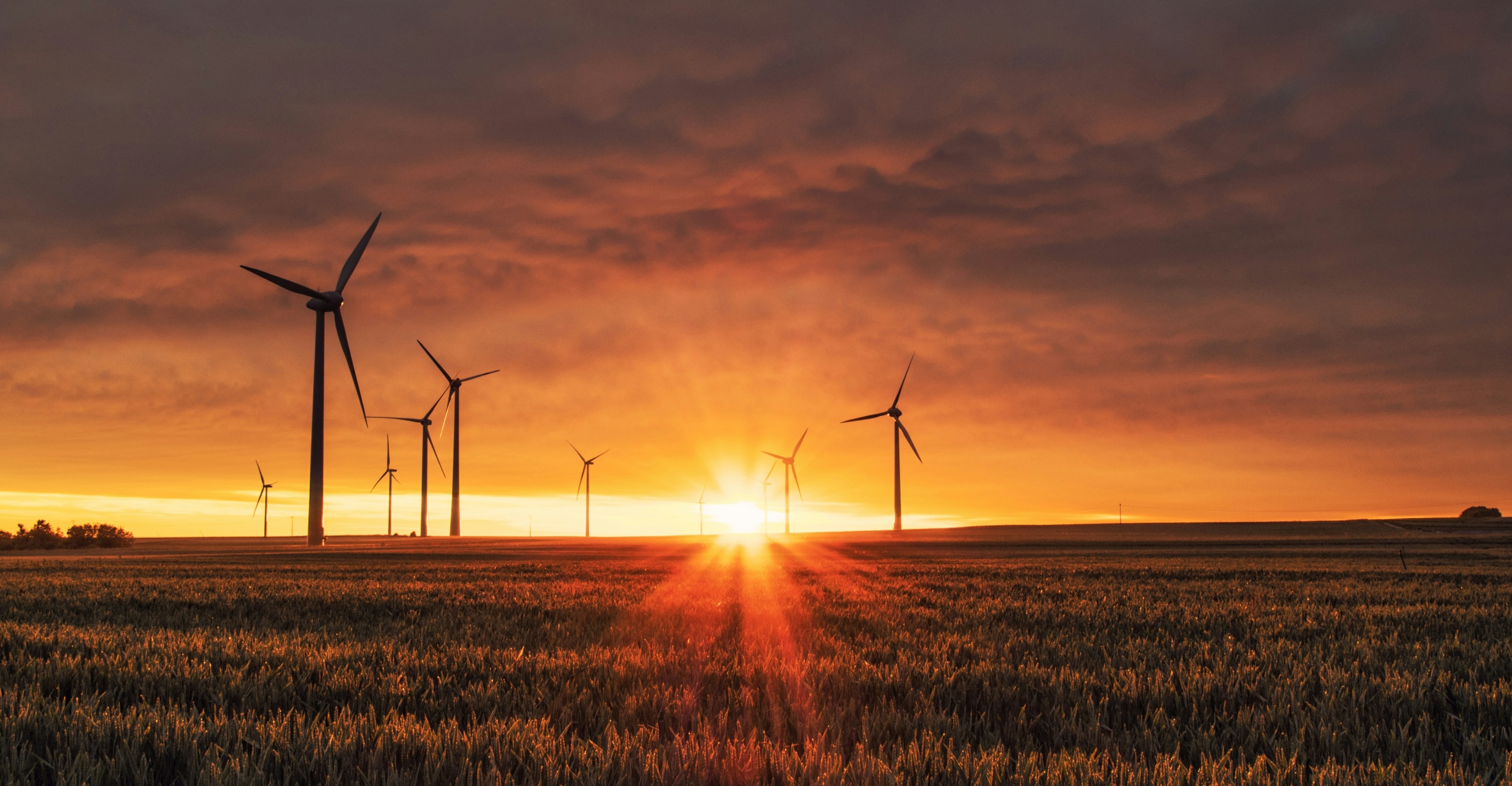 La transición a una economía baja en carbono, el mayor desafío de este siglo