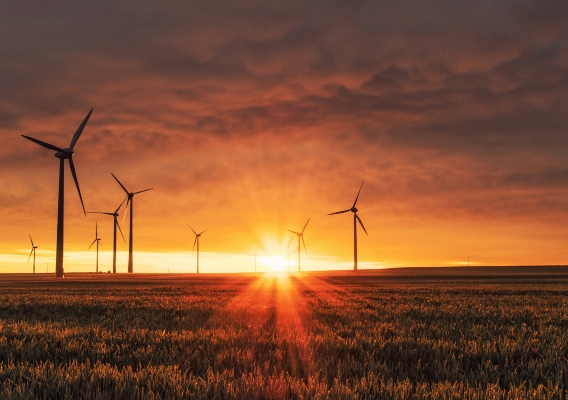 The transition to a low-carbon economy - Investing in ESG